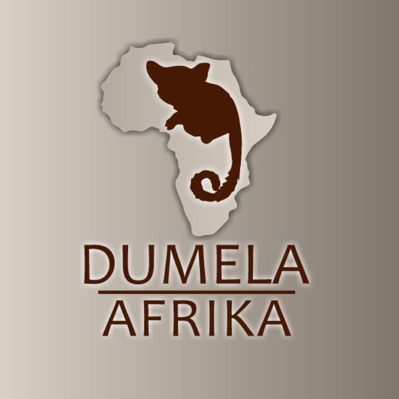 Dumela Afrika Logo